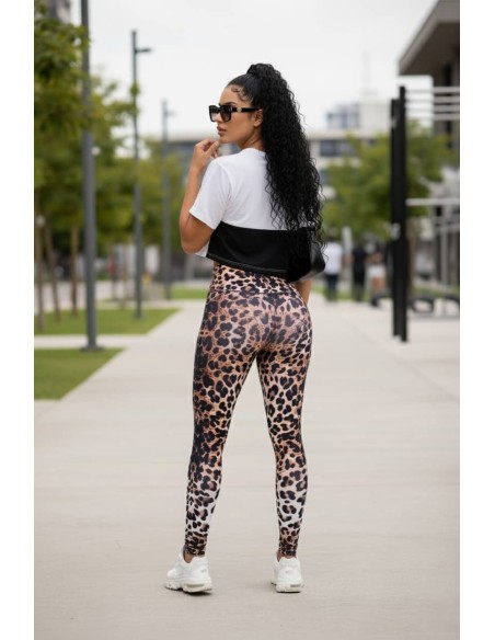 conjunto capoheira marron trasera cl316