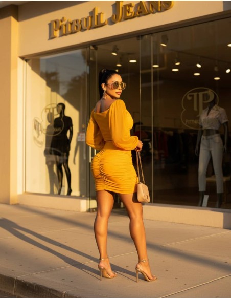 conjunto pitbull amarillo trasera ct263